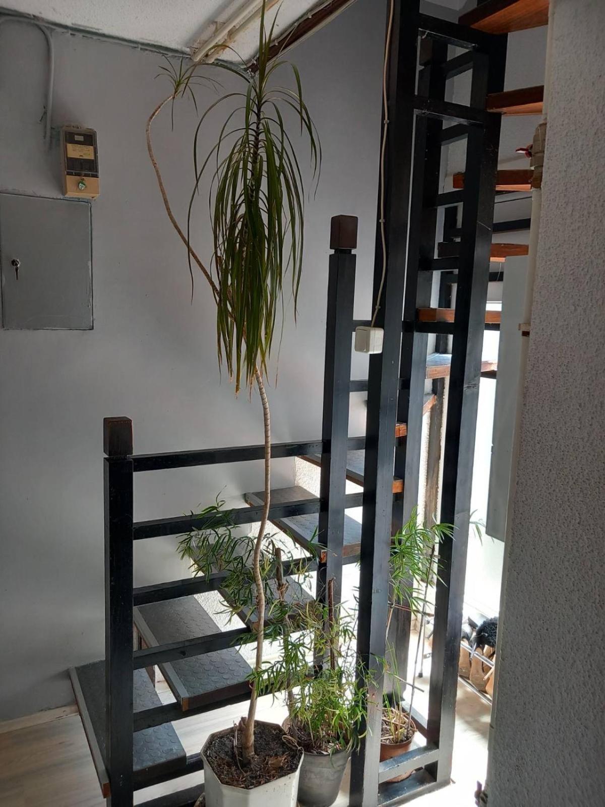 Arca Apartman *